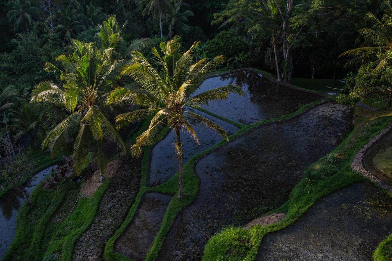 Komaneka At Bisma Ubud מראה חיצוני תמונה