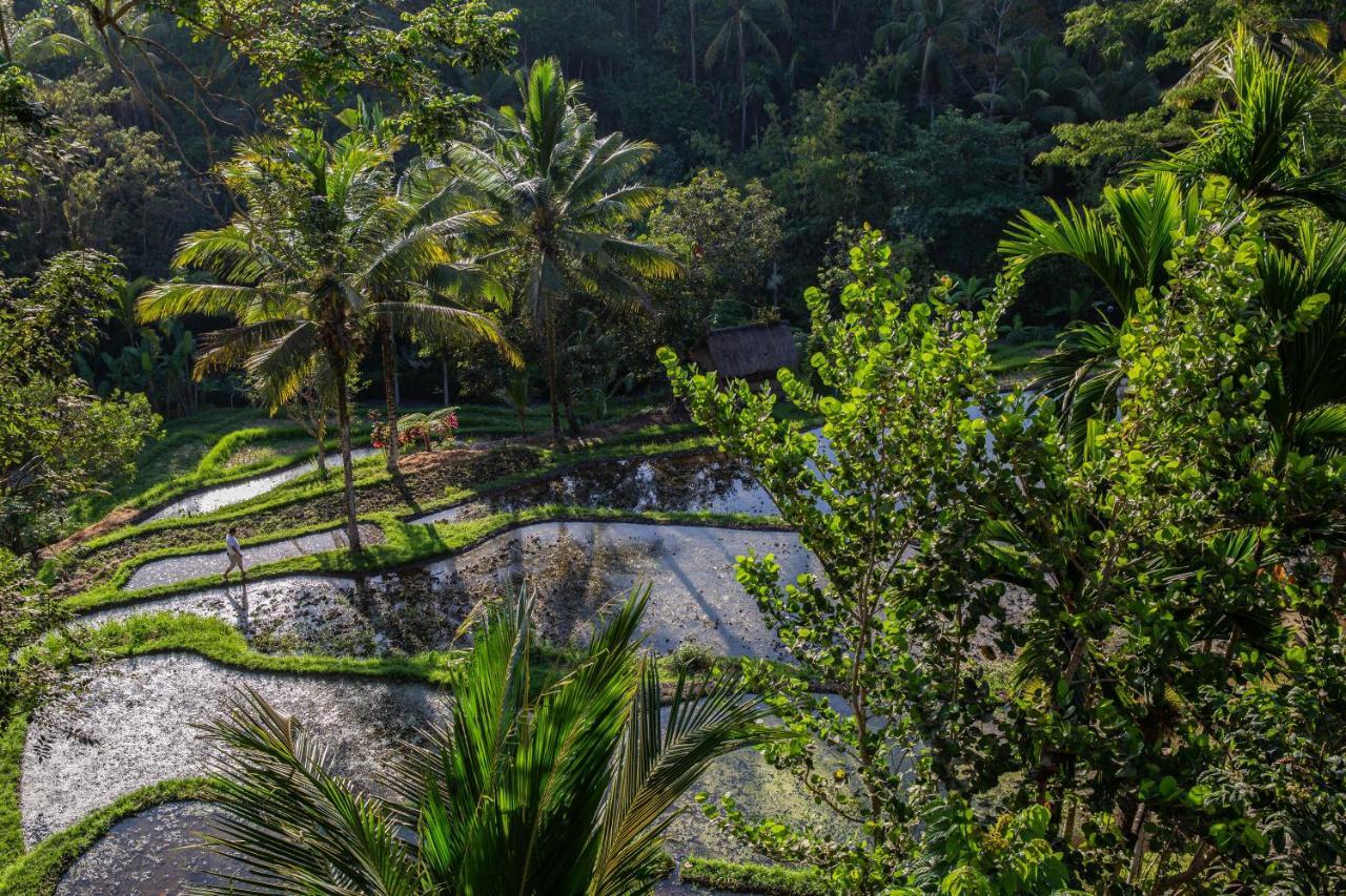 Komaneka At Bisma Ubud מראה חיצוני תמונה